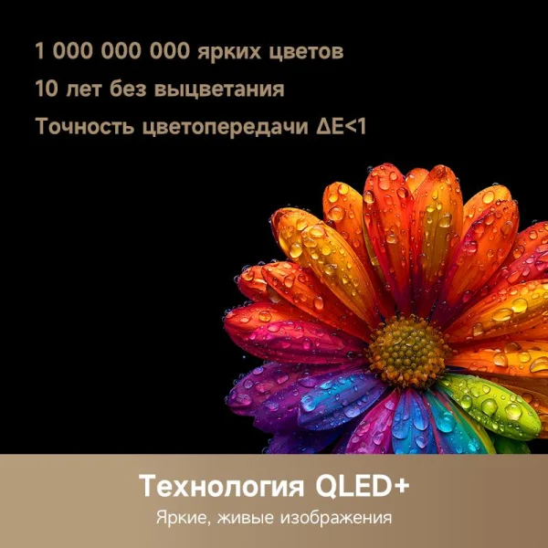 Dreame Vivid QLED 4K TV 55Q100 5